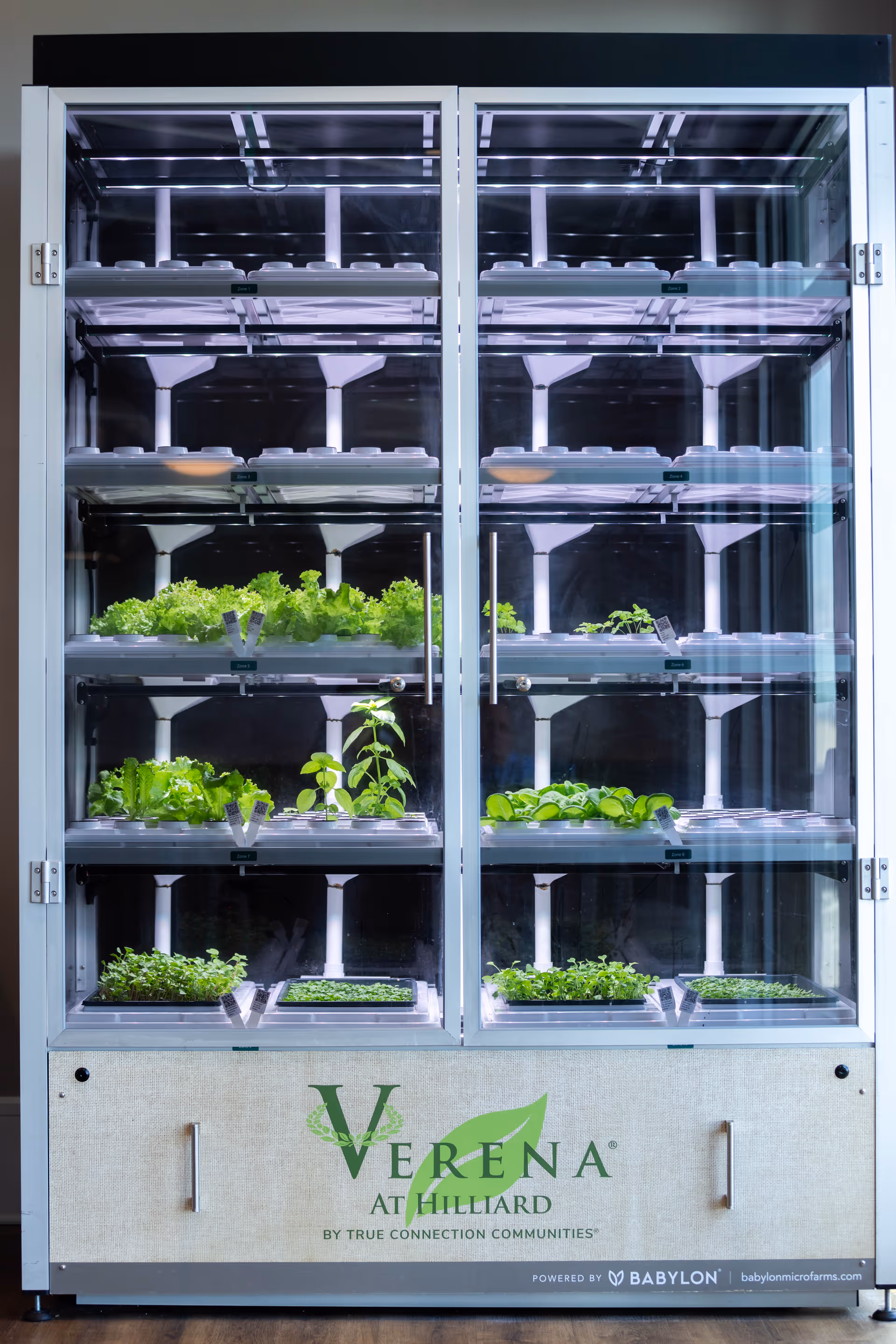 A vertical indoor hydroponic garden unit with multiple shelves holding trays of green leafy plants and herbs. The unit has glass doors and is branded with the logo 'Verena at Hilliard by True Connection Communities' and 'Powered by Babylon' at the bottom.