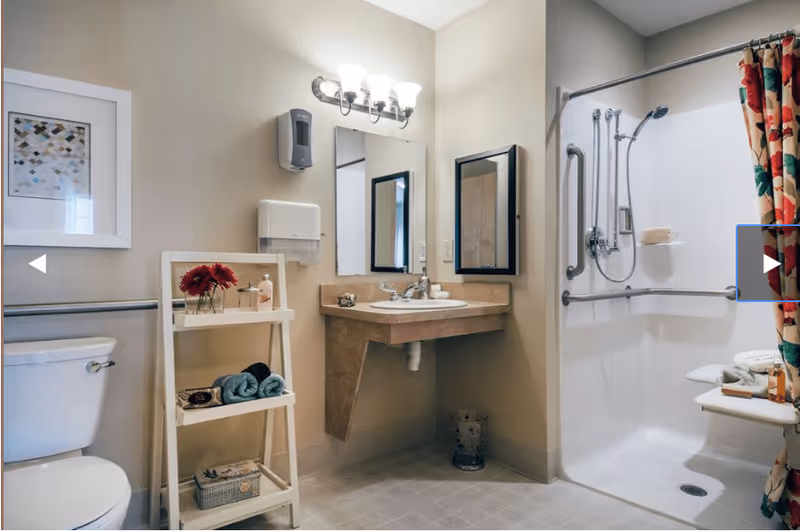 Accessible bathroom with a toilet, shelving, wall-mounted sink and mirrors, and a roll-in shower with grab bars and a shower seat.