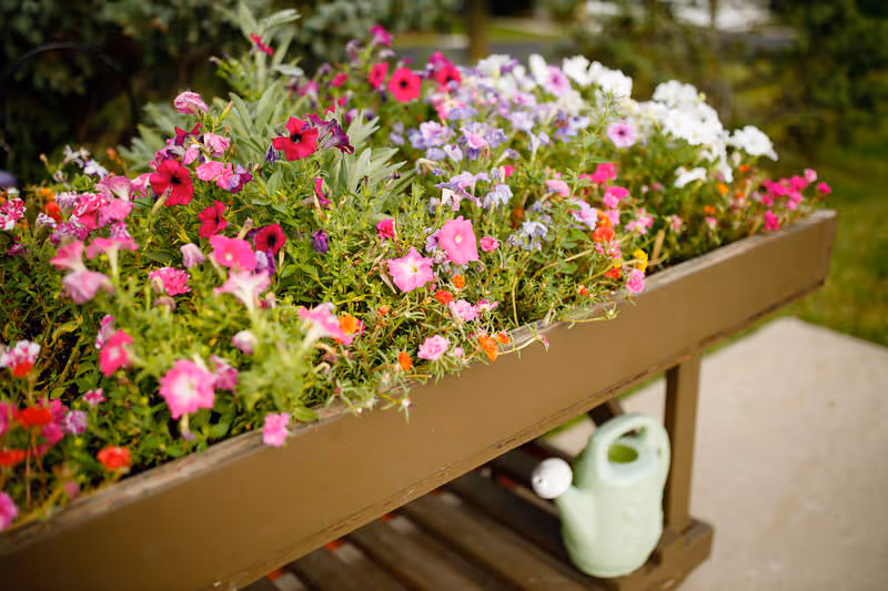 A raised garden bed filled with colorful blooming flowers including pink, red, purple, and white varieties. Below the garden bed, a green watering can is visible on a wooden shelf. The background shows some greenery and a paved path.