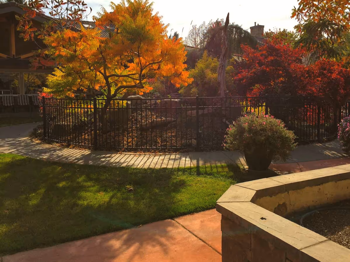 Outdoor garden area with a variety of trees showing autumn colors including orange, yellow, and red leaves. There is a black metal fence enclosing part of the garden, a concrete walkway, green grass, and a stone planter in the foreground. The background includes parts of a building with a tiled roof.