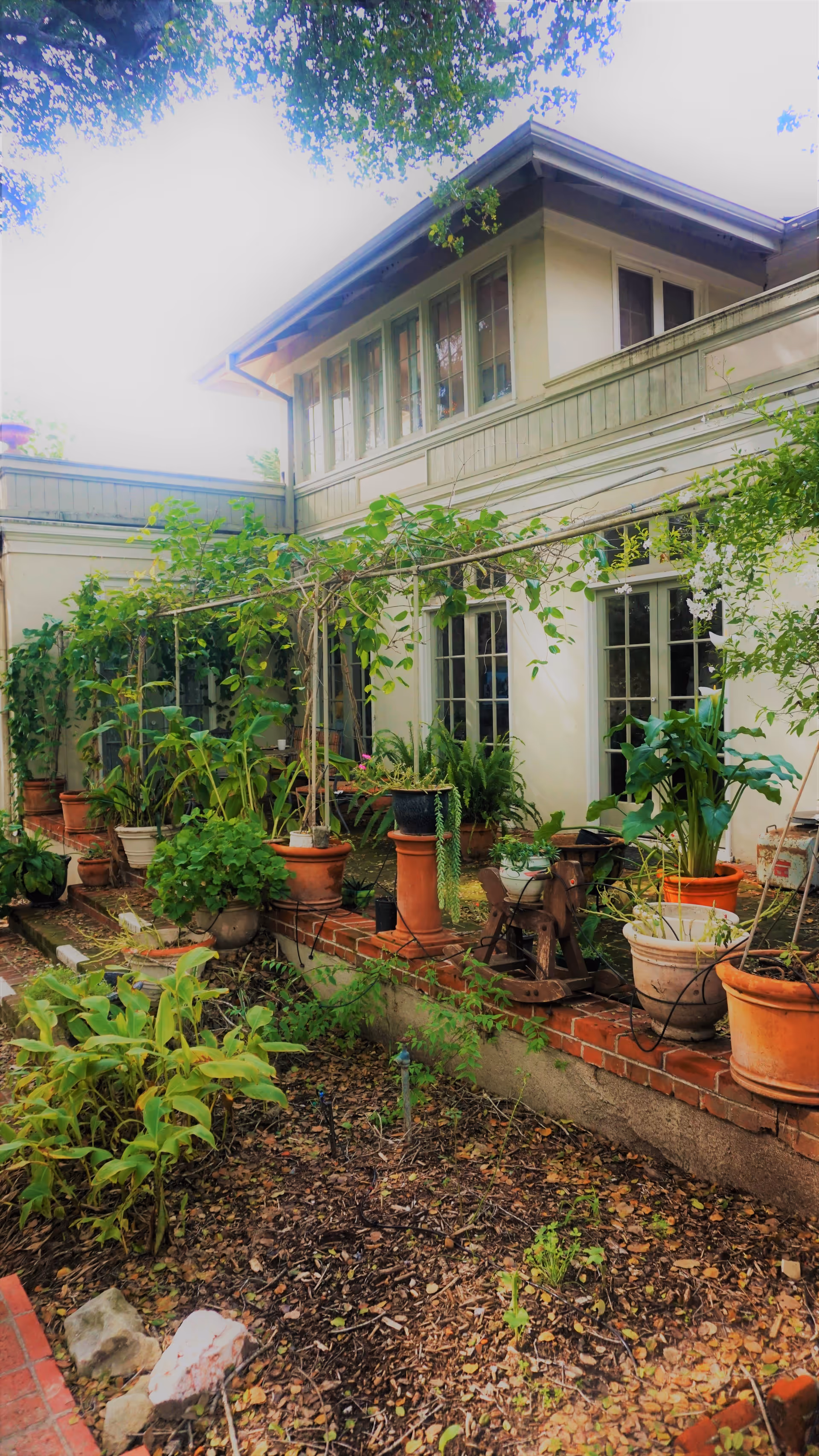 A courtyard garden filled with potted plants and a trellis along the exterior of a two-story house.