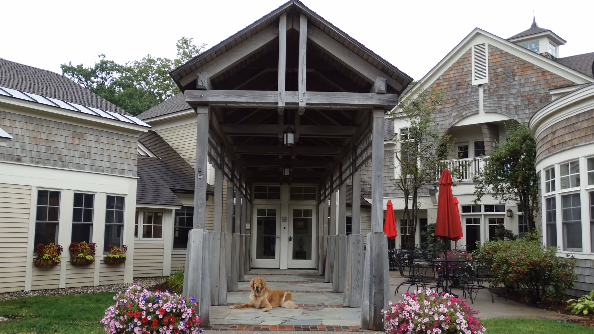 Covered wooden walkway leading to the entrance of a building with a golden retriever dog lying on the stone floor. The building has beige siding and shingle accents, with flower boxes under the windows and red umbrellas over outdoor seating areas surrounded by greenery and flowers.