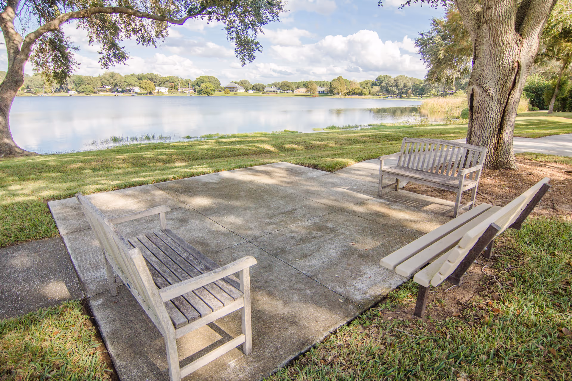 Outdoor seating area with three benches arranged on a concrete slab under large trees, overlooking a calm lake with houses and trees on the opposite shore under a partly cloudy sky.