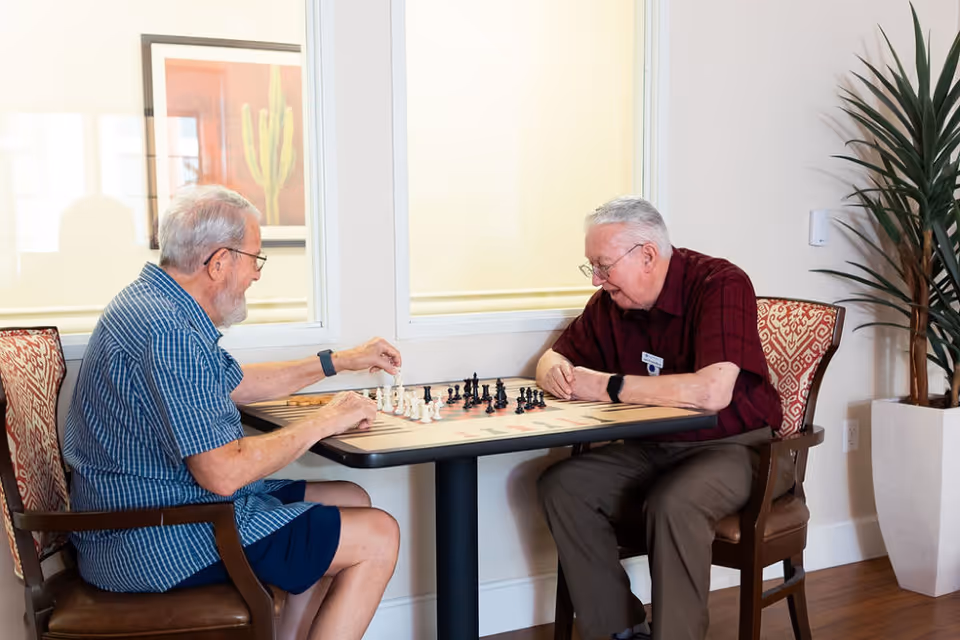 Two elderly men sitting at a table playing chess in a well-lit room with a large window, a framed picture on the wall, and a tall potted plant nearby.