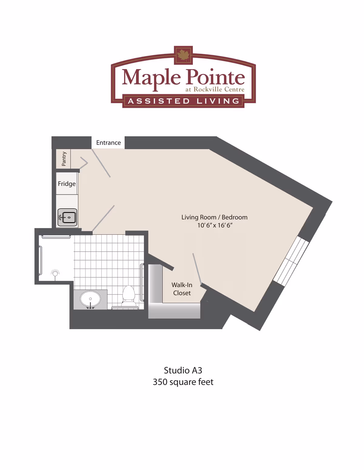 Floor plan of a studio apartment labeled Studio A3 with 350 square feet at Maple Pointe Assisted Living. The layout includes an entrance leading to a small kitchen area with a pantry, fridge, and sink. Adjacent is a bathroom with a sink and toilet. The main living space is a combined living room and bedroom measuring 10 feet 6 inches by 16 feet 6 inches, with a walk-in closet.
