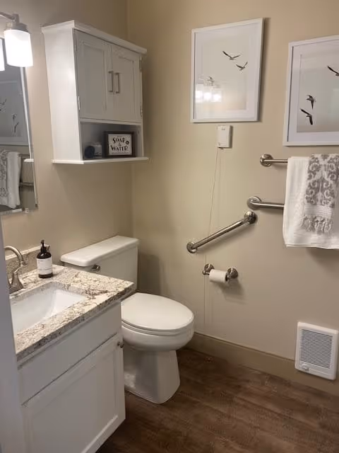 A clean and well-lit bathroom with a white toilet, a white vanity with a granite countertop and a sink, a wall-mounted cabinet above the toilet, two framed pictures of birds on the wall, a towel hanging on a grab bar, and a toilet paper holder. The floor has wood-like flooring and the walls are painted beige.