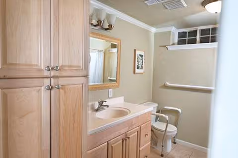 Interior bathroom with light wood cabinets, sink, mirror, toilet, and grab bar.