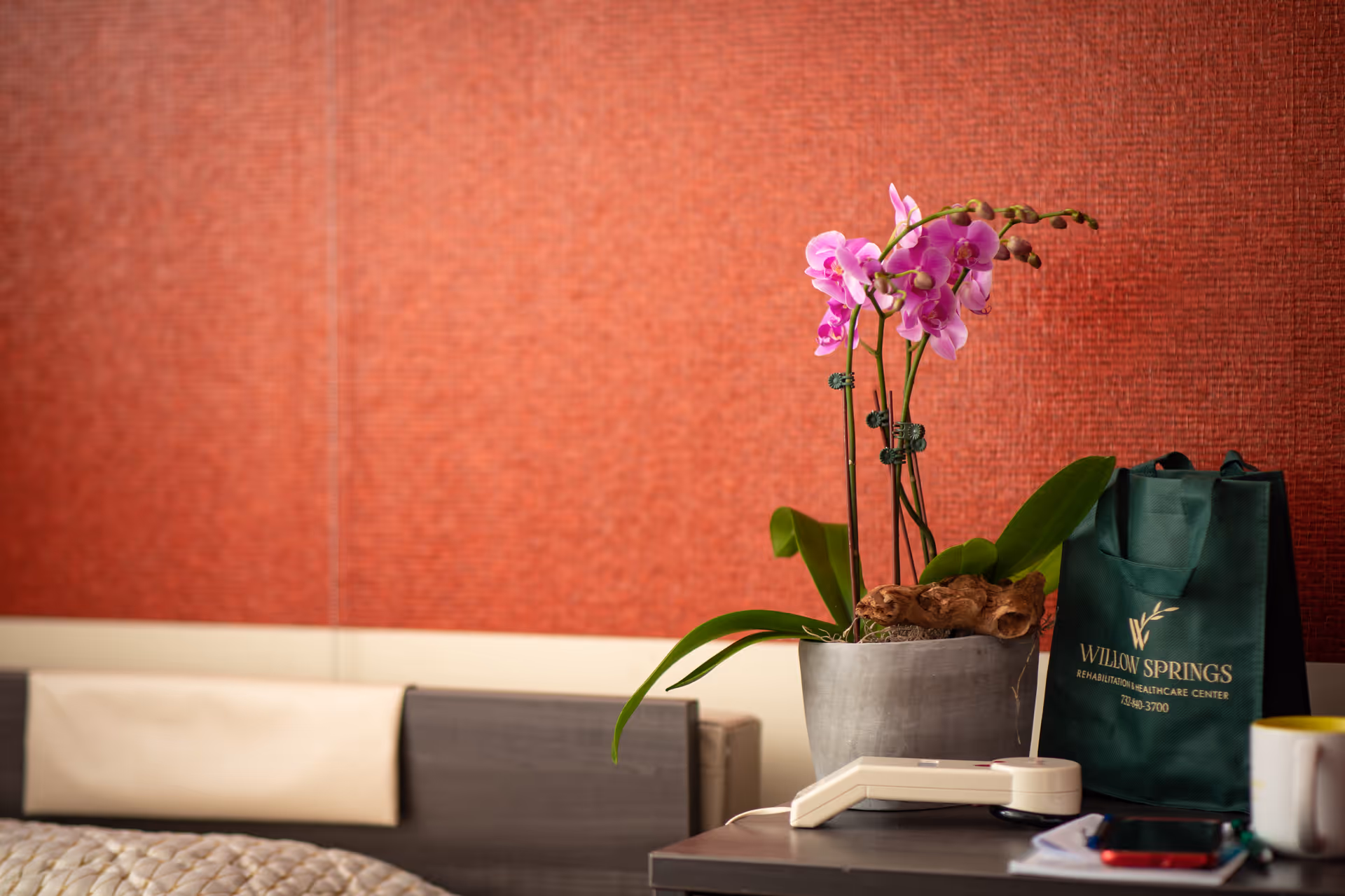 A bedside table with a potted orchid plant, a white telephone, a green Willow Springs Rehabilitation Healthcare Center tote bag, a smartphone, and a coffee mug. The background features a red textured wall and part of a bed with a beige headboard.