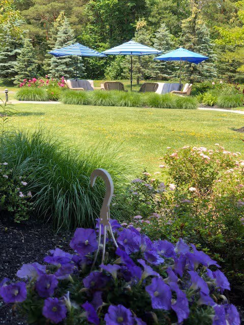A peaceful outdoor garden area with lush green grass, various flowering plants including purple flowers in the foreground, and several blue and white striped umbrellas shading cushioned outdoor seating. Tall evergreen trees form a natural backdrop.