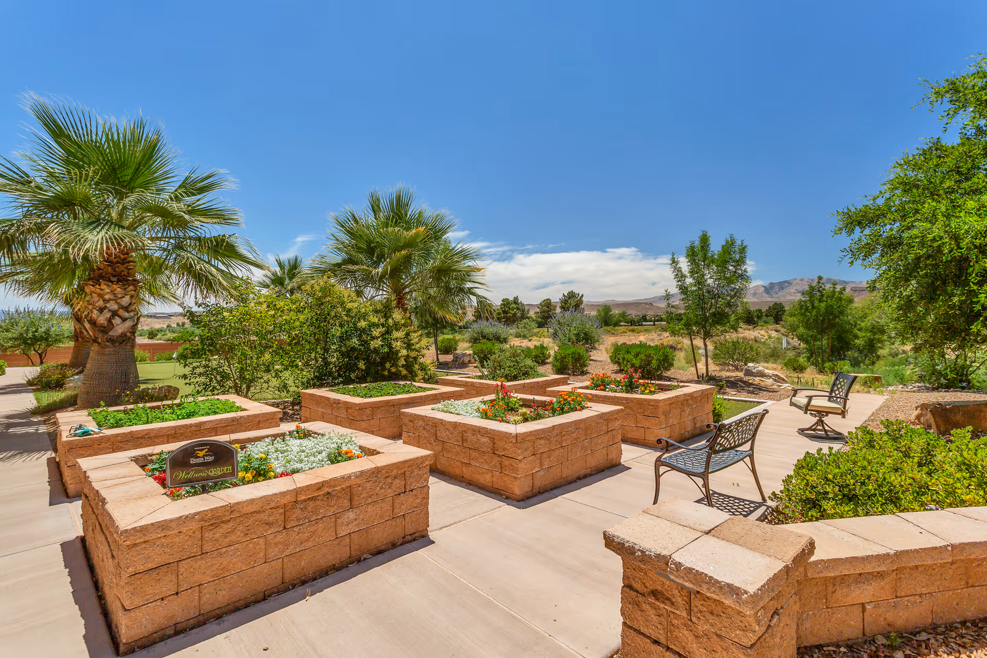 Sunny outdoor patio with raised brick planter beds, benches, palm trees, and landscaped grounds with distant mountains.