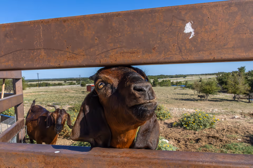 Photo 31 of Bristol Park at Cleburne Assisted Living & Memory Care