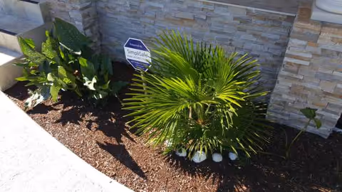 Exterior of Sunset Home Care with palm plants and a stone wall.