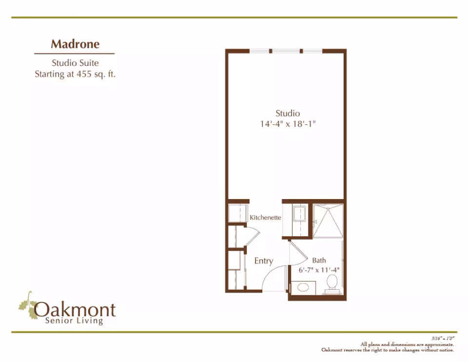 Floor plan labeled 'Madrone' showing a studio suite layout with a studio area, kitchenette, entry and bathroom with dimensions.