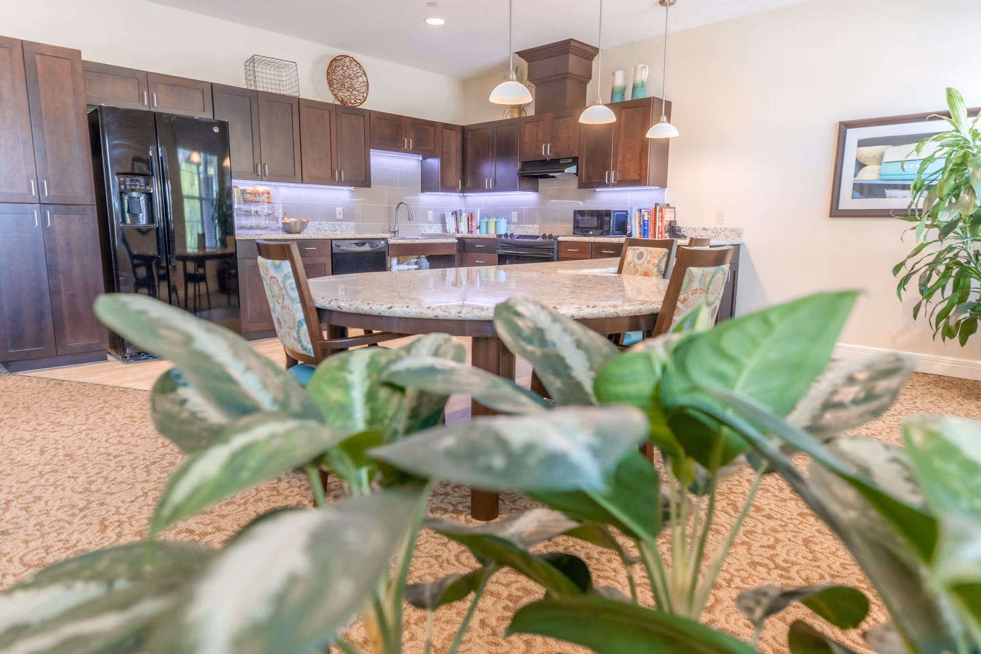 Interior view of a senior living facility kitchen with dark wood cabinets, a black refrigerator, a round granite dining table with four chairs, and a large green plant in the foreground. The kitchen has modern appliances and pendant lights hanging from the ceiling.