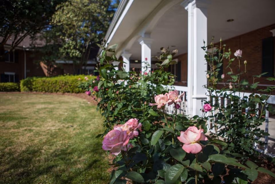 A garden area with blooming pink roses in the foreground, adjacent to a building with white columns and a covered porch. Green bushes and trees are visible in the background under a clear sky.