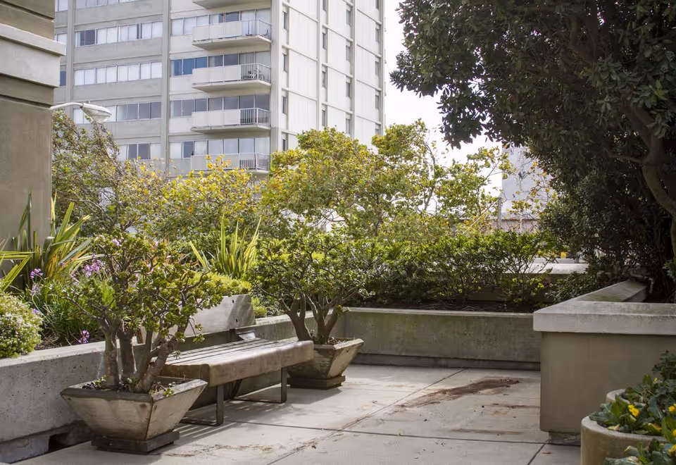 Outdoor patio area with concrete benches and planters filled with green shrubs and small trees, surrounded by taller buildings in the background.