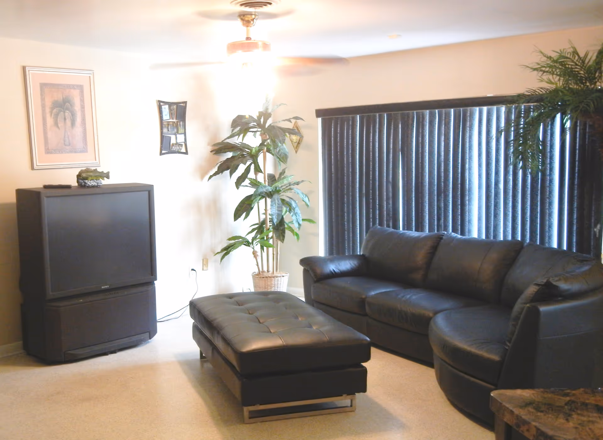 A living room with a black leather sectional sofa and a matching black leather ottoman in the center. There is a large TV on a stand to the left, a tall potted plant next to the TV, and vertical blinds covering a window behind the sofa. The walls are light-colored and decorated with a framed picture and a small wall mirror.