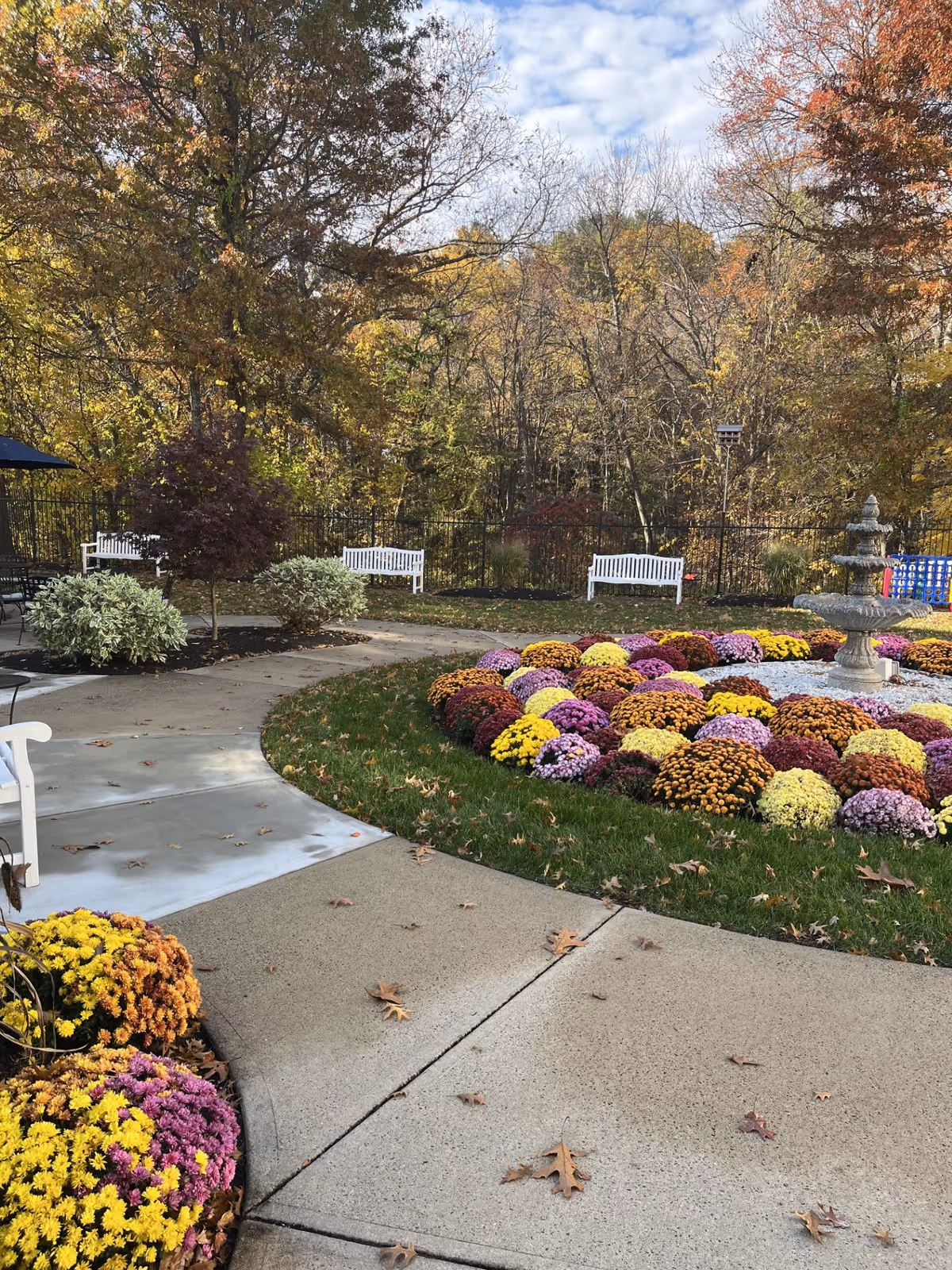 Outdoor garden area with a circular flower bed filled with colorful chrysanthemums surrounding a stone fountain. There are white benches along the perimeter, trees with autumn foliage in the background, and a paved walkway with fallen leaves.