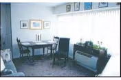 Small dining area with a table and chairs by a large curtained window, plants on the windowsill, and framed pictures on the wall.