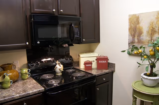 A kitchen corner featuring a black electric stove with four coil burners and a black microwave mounted above it. The countertop has various items including green mugs, a ceramic rooster, and labeled containers for coffee, sugar, and bread. There is a small green side table with a potted plant bearing yellow fruit and a framed painting of trees on the wall.