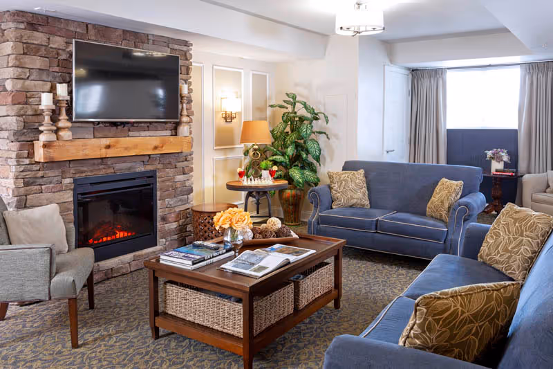 Cozy living room with a stone fireplace and mounted flat-screen TV above it. The room features two blue sofas with patterned cushions, a gray armchair, a wooden coffee table with books and flowers, a side table with a lamp, and a large green plant. The room has carpeted flooring and a window with curtains.
