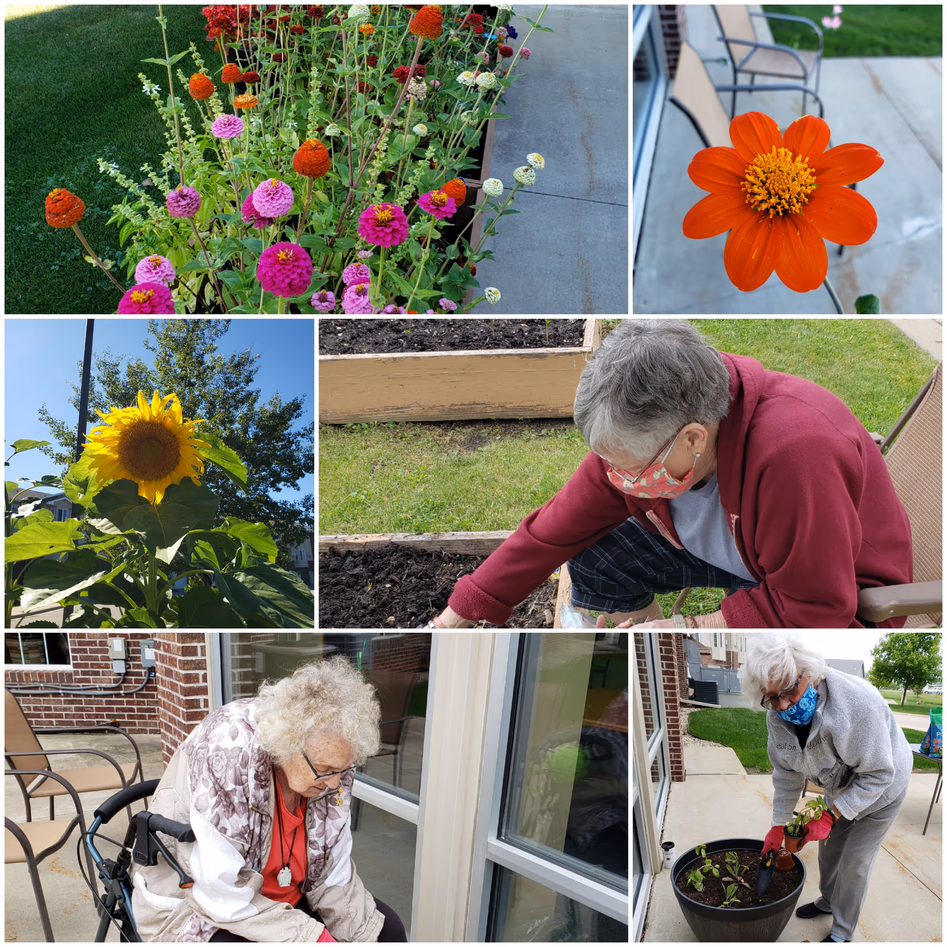 A collage of six images showing colorful flowers including orange, pink, and yellow blooms, and elderly individuals gardening outdoors at Prairie Meadows Senior Living. The seniors are engaged in planting and tending to plants in raised garden beds and pots on a patio area with chairs and a brick building in the background.