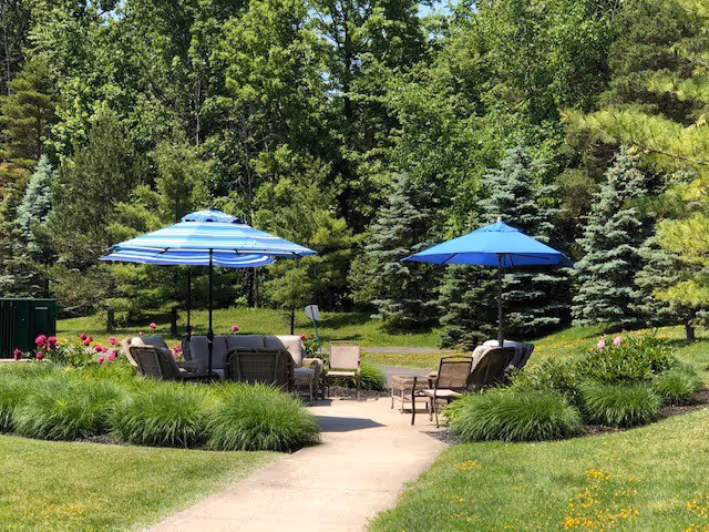 Outdoor patio with chairs, tables and blue umbrellas surrounded by lawn and trees.