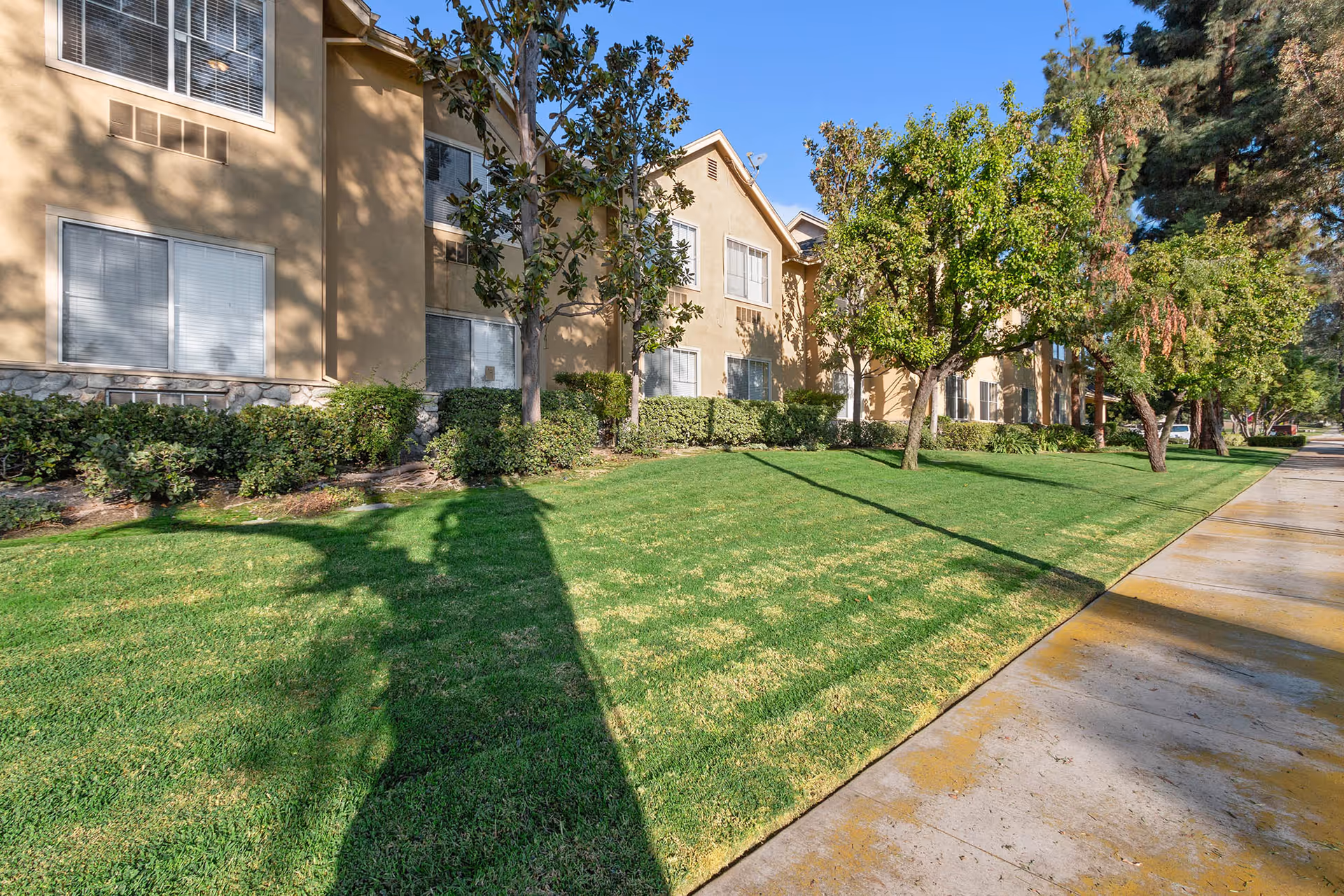 Exterior view of a beige multi-story residential building with several windows, surrounded by green grass, bushes, and trees under a clear blue sky. A concrete sidewalk runs alongside the lawn.