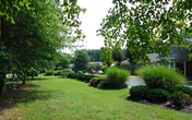 Landscaped lawn and walkway with shrubs and trees alongside single-story residential buildings.