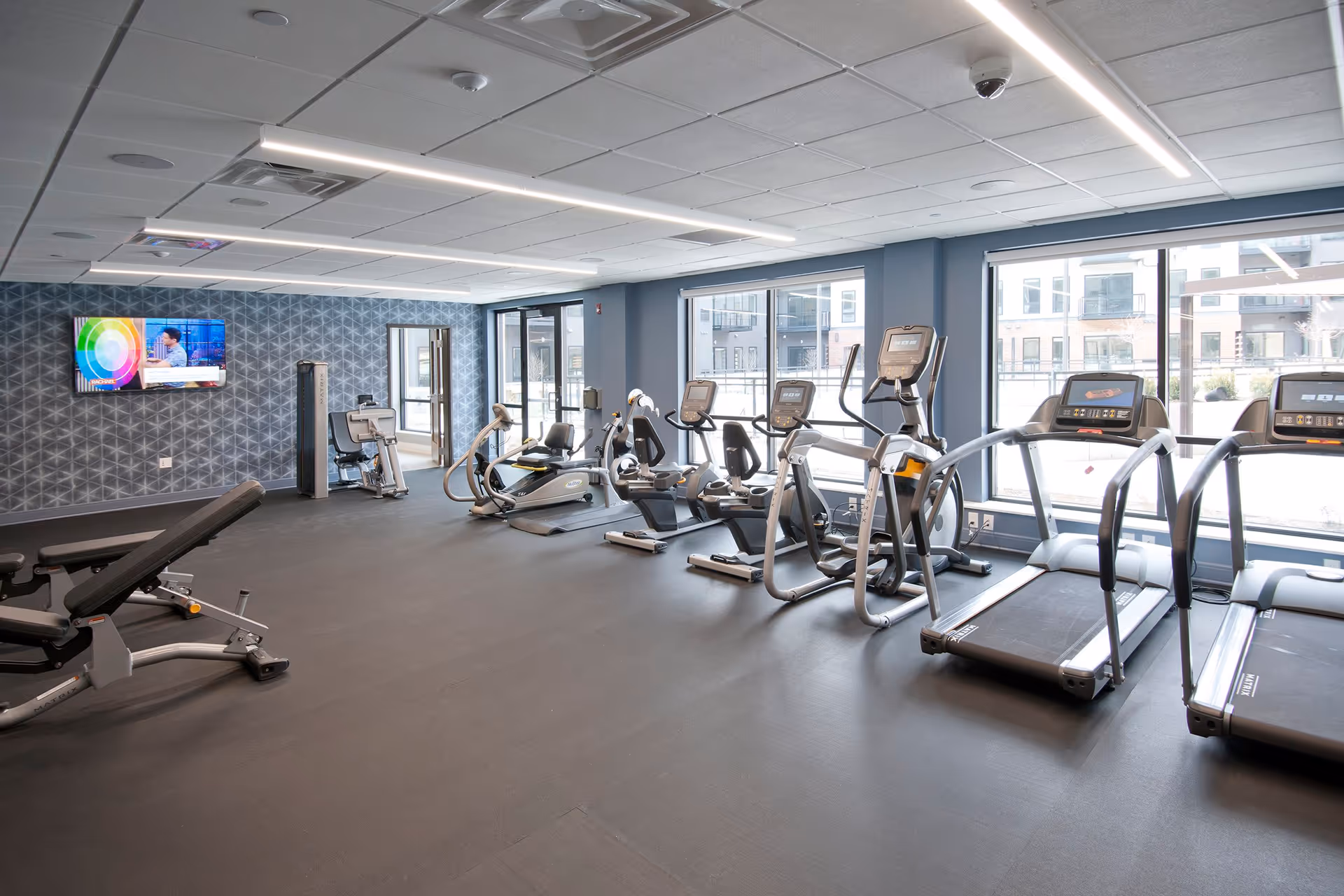 A modern fitness room with various exercise equipment including treadmills, elliptical machines, stationary bikes, and weight benches. The room has large windows letting in natural light and a wall-mounted TV displaying a colorful screen. The walls are painted blue with a geometric pattern on one side.