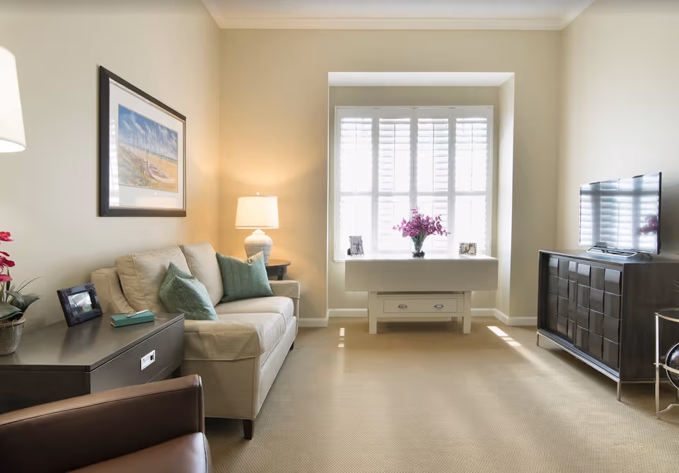 Bright living room with a sofa and cushions, an armchair, a TV on a cabinet, and a window seat with flowers.