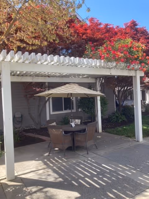 Outdoor seating area with a round table and four wicker chairs under a beige patio umbrella, situated beneath a white pergola. Surrounding the area are trees with red and green foliage and a building in the background.