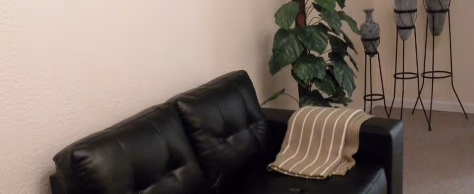 A black leather couch with a beige and white striped blanket draped over one arm. Behind the couch is a green leafy plant and three tall decorative metal plant stands with vases on them, set against a beige wall and carpeted floor.