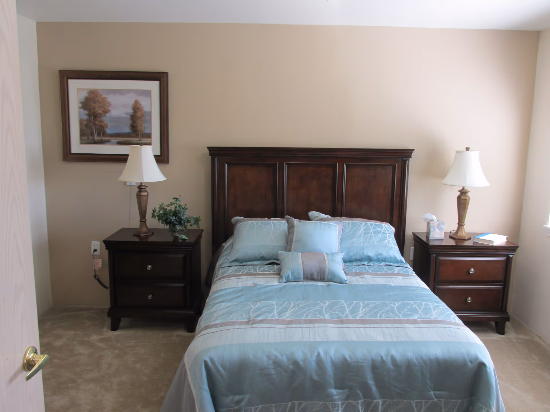 A neatly made bed with a wooden headboard and light blue bedding is centered between two dark wooden nightstands, each with a lamp. There is a framed painting of trees on the beige wall above the left nightstand, which also has a small plant. The right nightstand holds a box of tissues and a book. The room has beige walls and carpeted flooring.