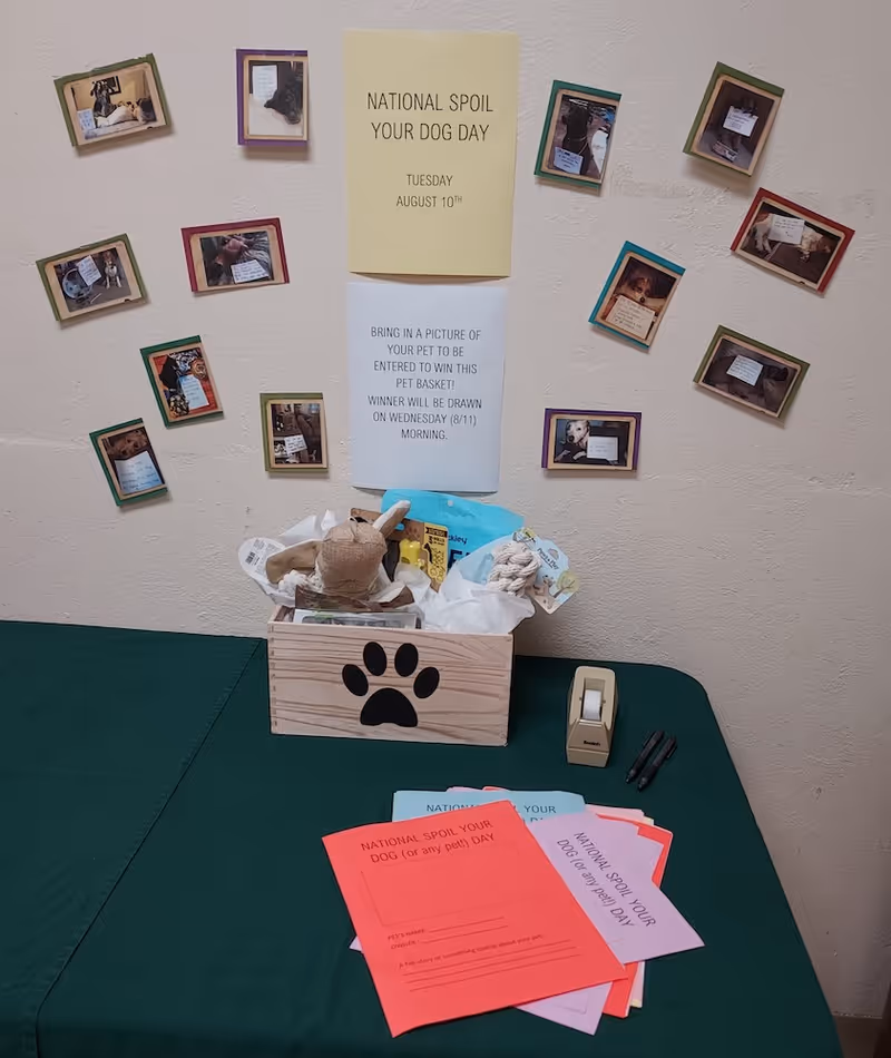A display table with a green tablecloth featuring a wooden box decorated with a black paw print filled with pet toys and treats. Above the table on the wall are two printed signs about National Spoil Your Dog Day on Tuesday, August 10th, and a contest to bring in a picture of a pet to win a pet basket. Surrounding the signs are multiple small framed photos of dogs. On the table are colorful flyers related to the event, a tape dispenser, and two pens.