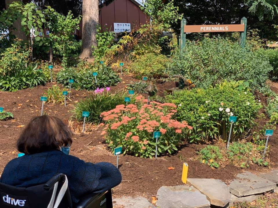 A person in a wheelchair is viewing a garden area labeled 'PERENNIALS' with various plants and flowers, each marked with small green signs. The garden is well-maintained with mulch and stone pathways, surrounded by trees and greenery.