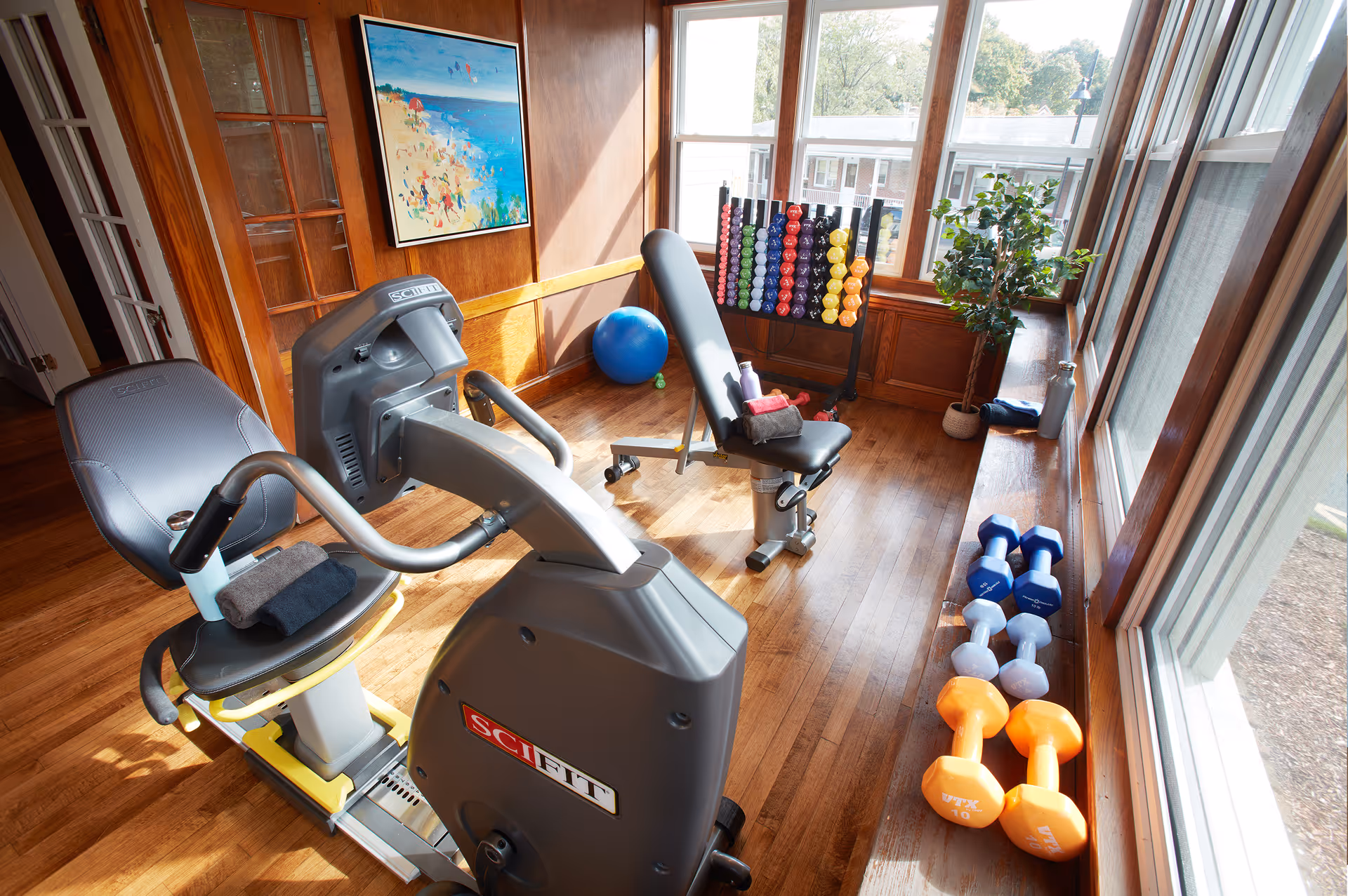 A bright exercise room with wooden floors and large windows. The room contains a recumbent exercise bike, an adjustable workout bench, a rack with colorful dumbbells, additional dumbbells lined up on the floor by the window, a blue exercise ball, and a potted plant. A colorful beach-themed painting hangs on the wooden-paneled wall.