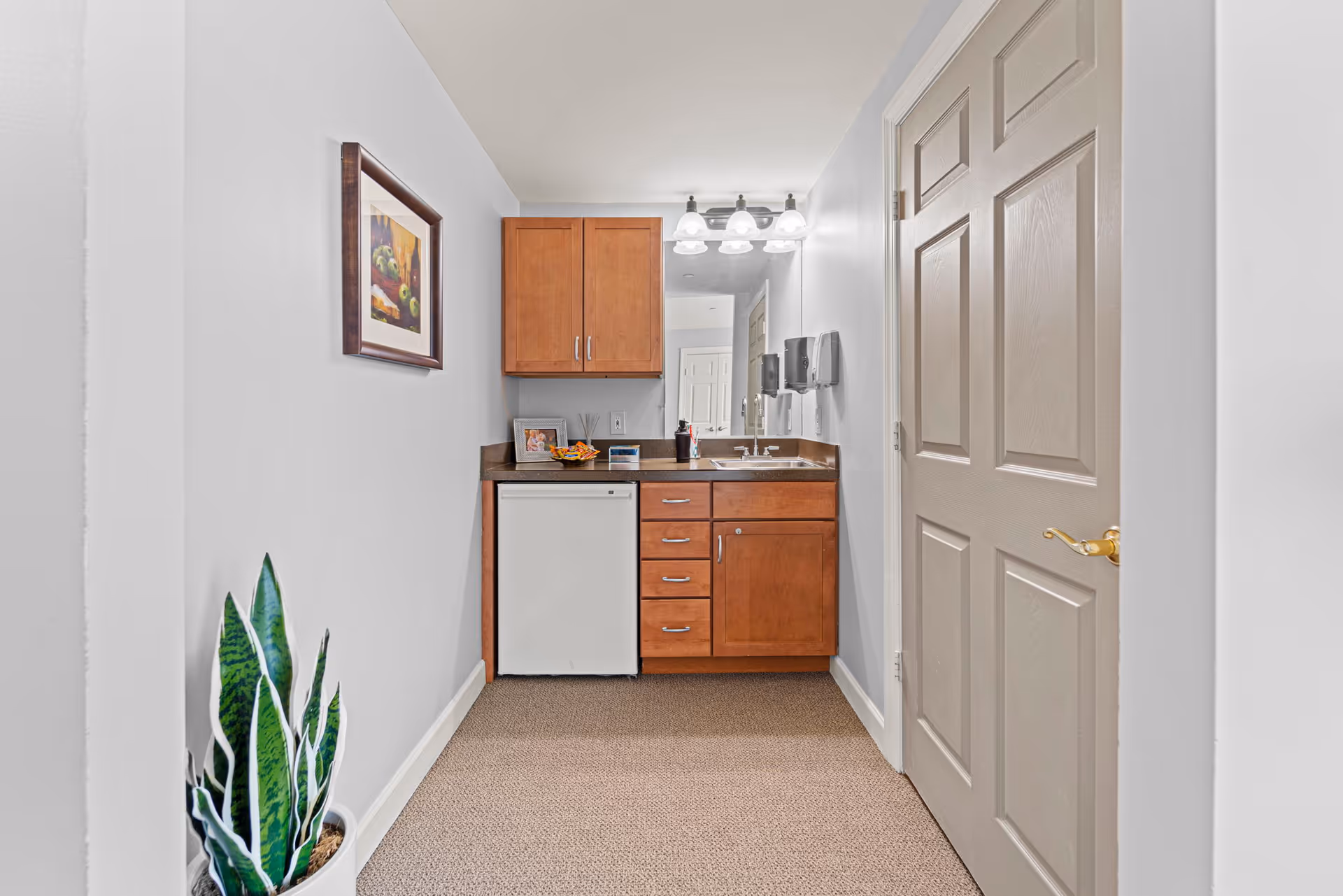 A small kitchenette area with wooden cabinets, a mini refrigerator, a sink, and a countertop with a few items on it. There is a large mirror above the sink with three light fixtures. A closed beige door is on the right side, and a potted snake plant is on the left side against a white wall with a framed picture hanging above it.
