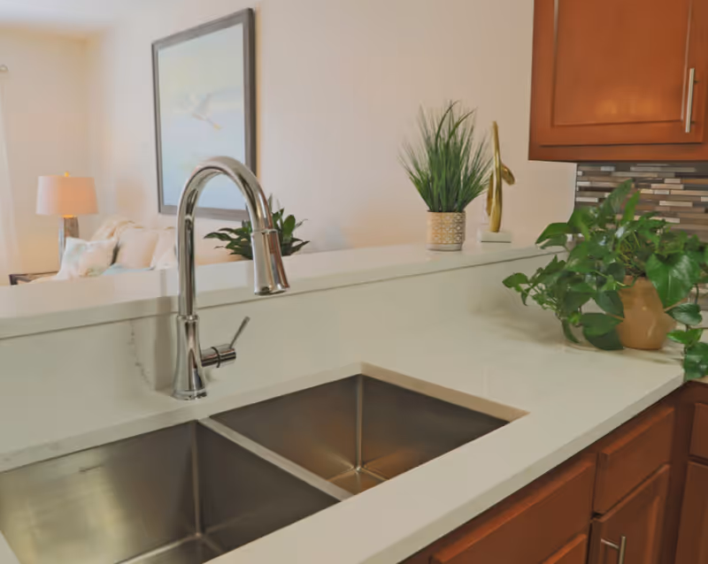 A stainless double kitchen sink with a chrome faucet set into a white countertop, flanked by potted plants and wooden cabinets with a glimpse of the living room beyond.