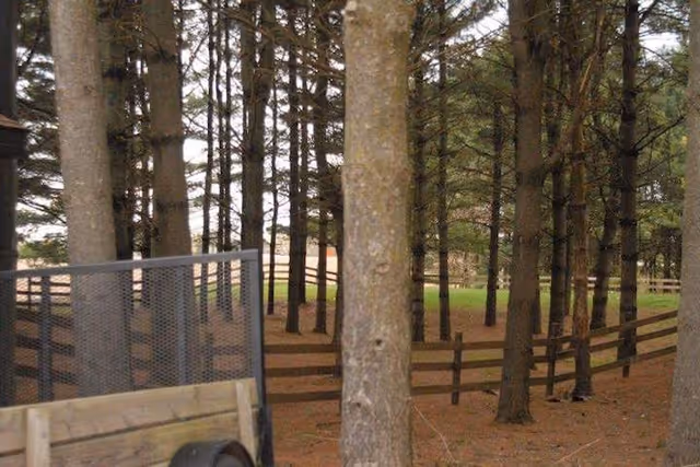 A wooded outdoor area with tall pine trees, wooden fencing, and a trailer gate visible in the foreground.