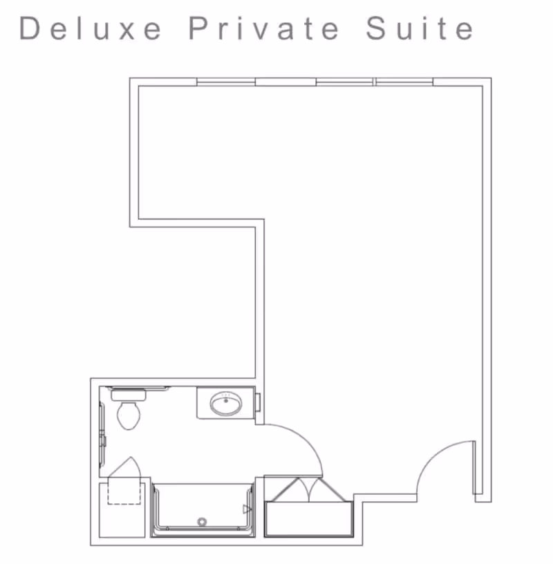 Architectural floor plan of a deluxe private suite showing a main living area, a bathroom with a toilet, sink, and shower, and an entry area with a closet.