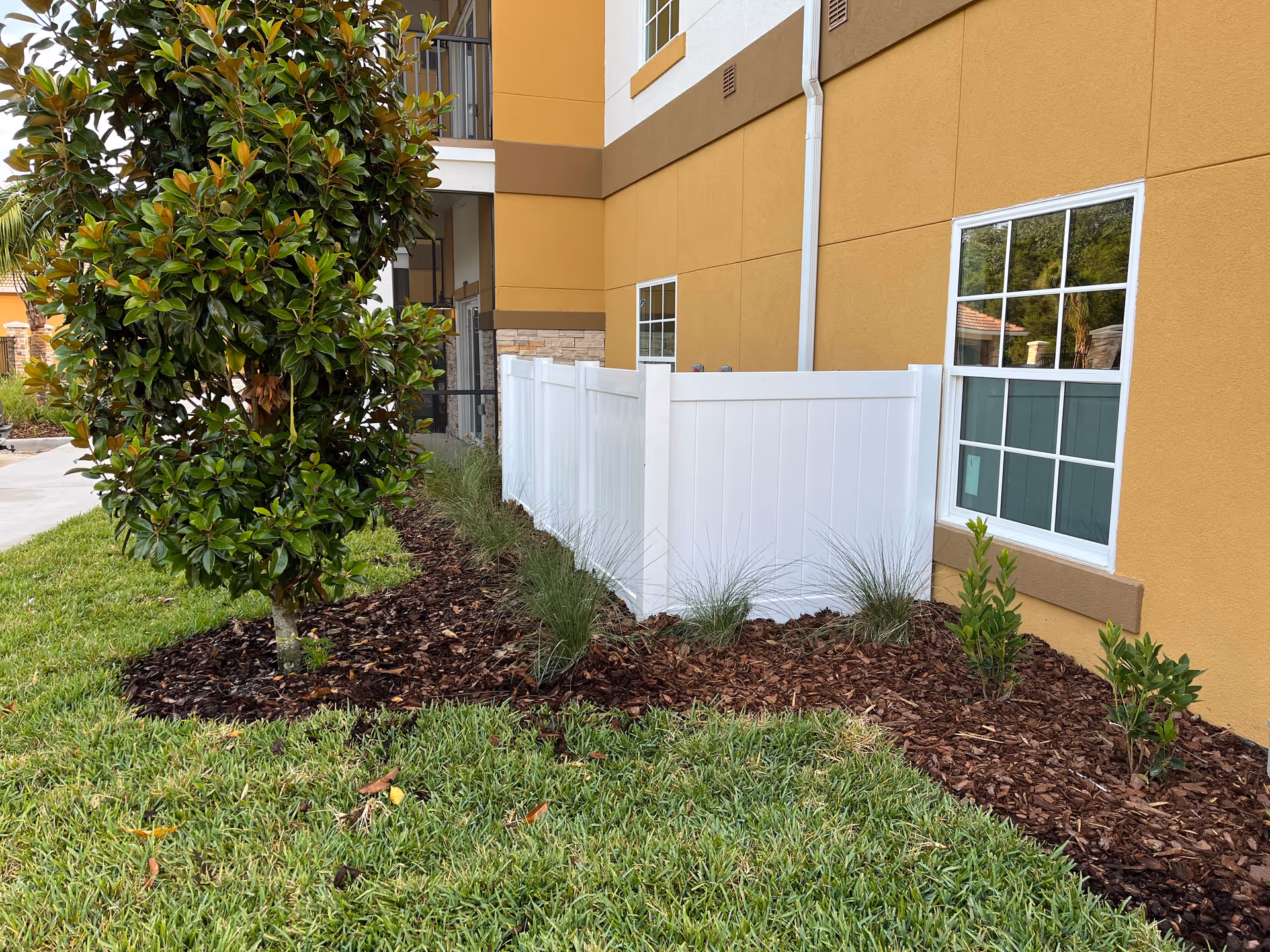 Outdoor view of a landscaped area next to a building with a yellow and brown exterior. There is a small tree, green grass, and mulch with various plants along a white fence near windows.