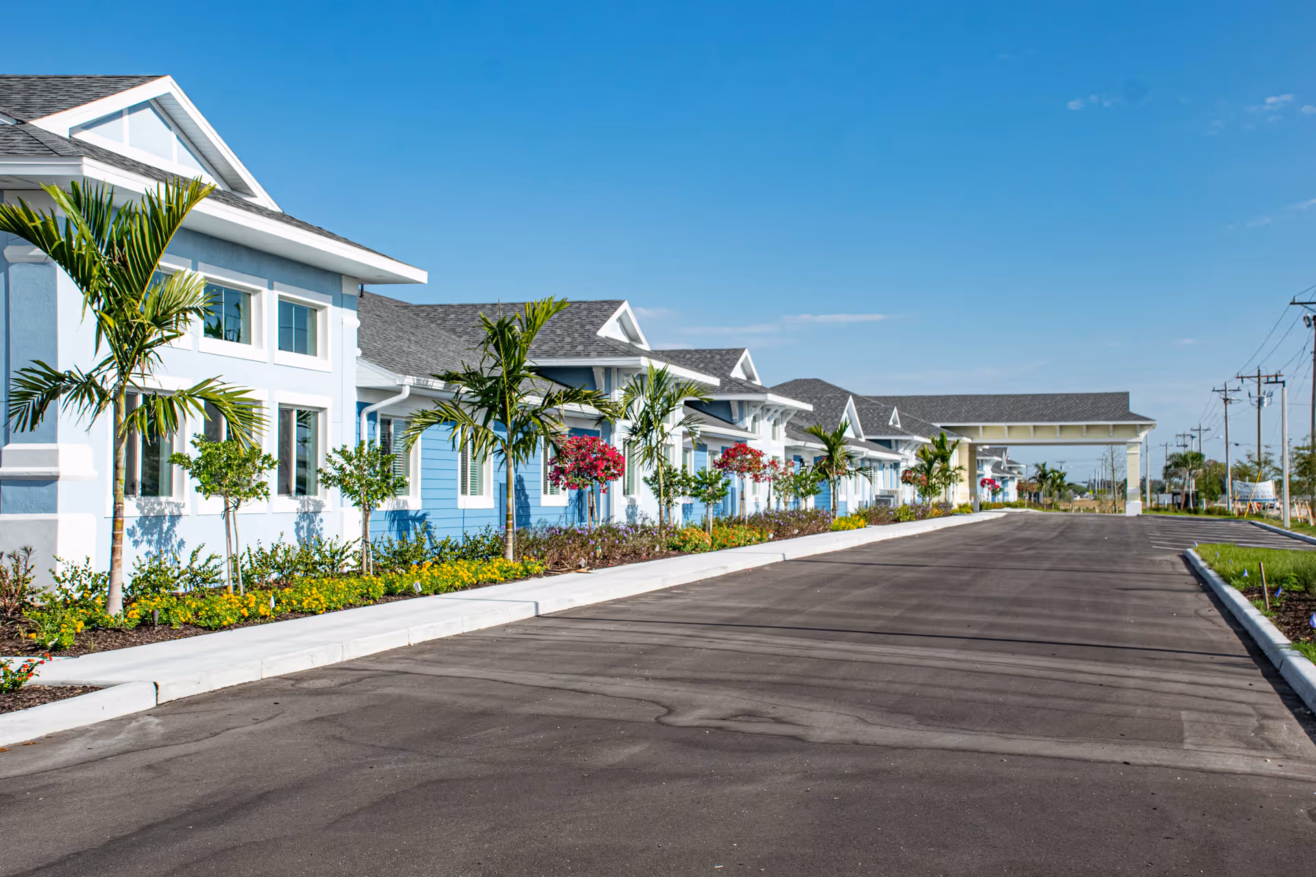 Exterior front of a light-blue senior living building with palm trees lining a wide paved driveway under a clear blue sky.