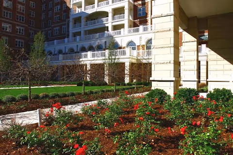 Outdoor garden area with red flowering plants and neatly trimmed bushes in front of a multi-story residential building with balconies and large windows.