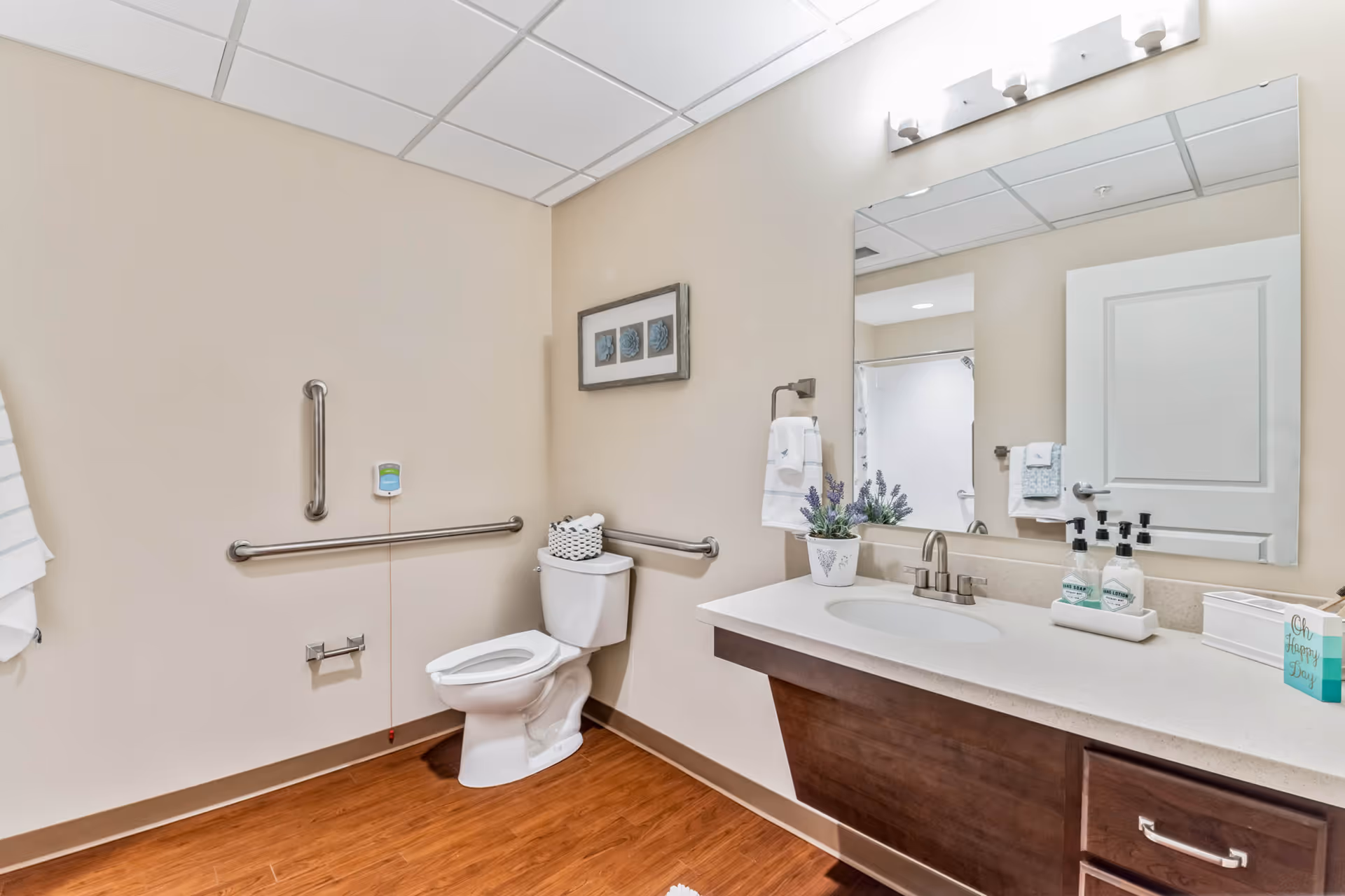 Accessible bathroom with a toilet, grab bars, sink vanity, large mirror and wood-look flooring.