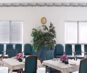 A dining room with several tables covered in white tablecloths, each decorated with a small floral centerpiece. Green cushioned chairs surround the tables. There is a large potted plant against the wall between two windows with closed blinds, and a clock is mounted on the wall above the plant.