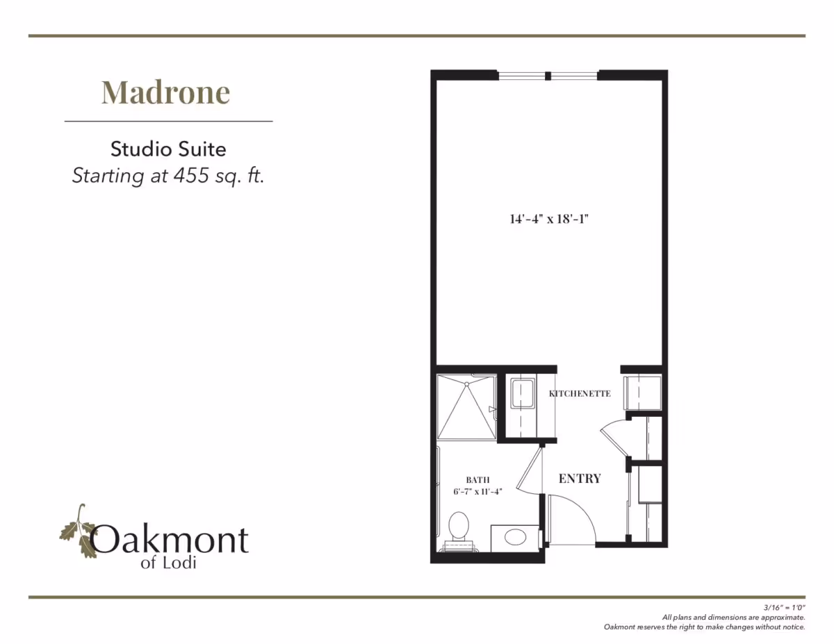Floor plan layout of the Madrone Studio Suite at Oakmont of Lodi, showing a main living area measuring 14 feet 4 inches by 18 feet 1 inch, an entry area with kitchenette, and a bathroom measuring 6 feet 7 inches by 11 feet 4 inches.