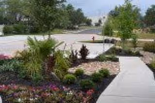 A landscaped outdoor area with a concrete walkway surrounded by various plants, shrubs, and flowers. Trees and a parking lot are visible in the background under a clear sky.