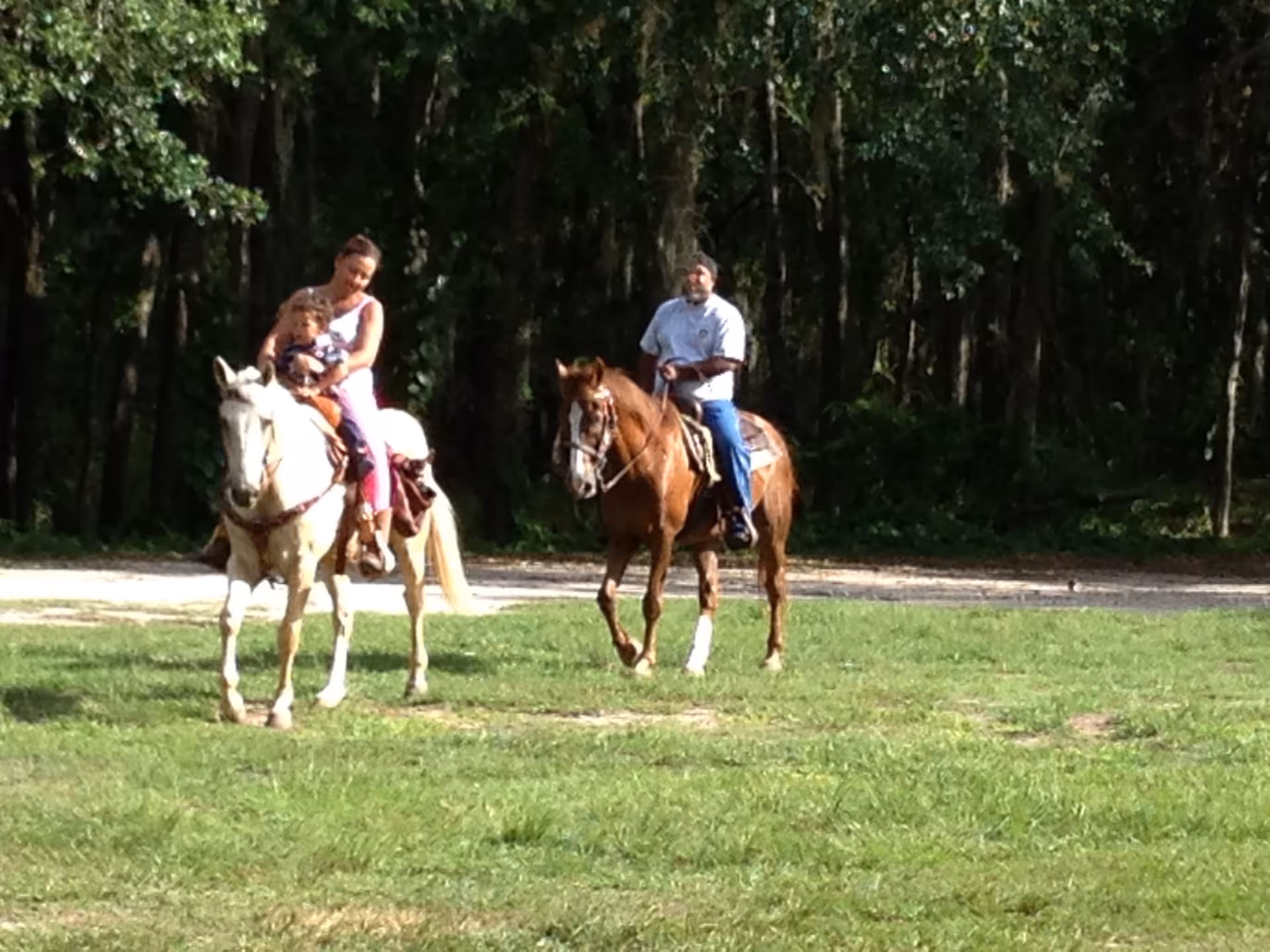 A woman and a child riding a white horse on a grassy area, accompanied by a man riding a brown horse. They are outdoors with a background of tall trees and shaded forest.