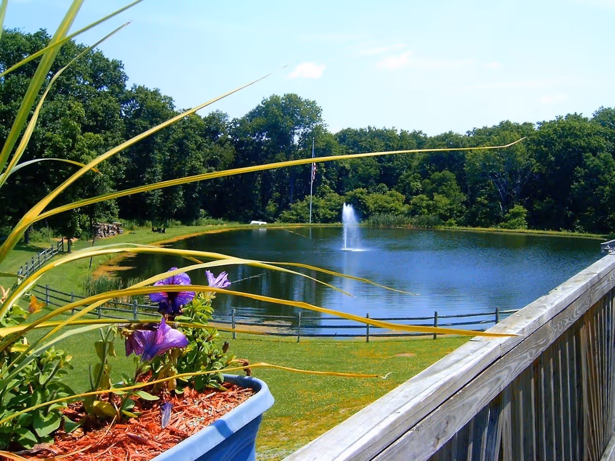 View of a small pond with a water fountain in the center, surrounded by green grass and trees. In the foreground, there is a wooden railing and a planter with purple flowers and green plants.